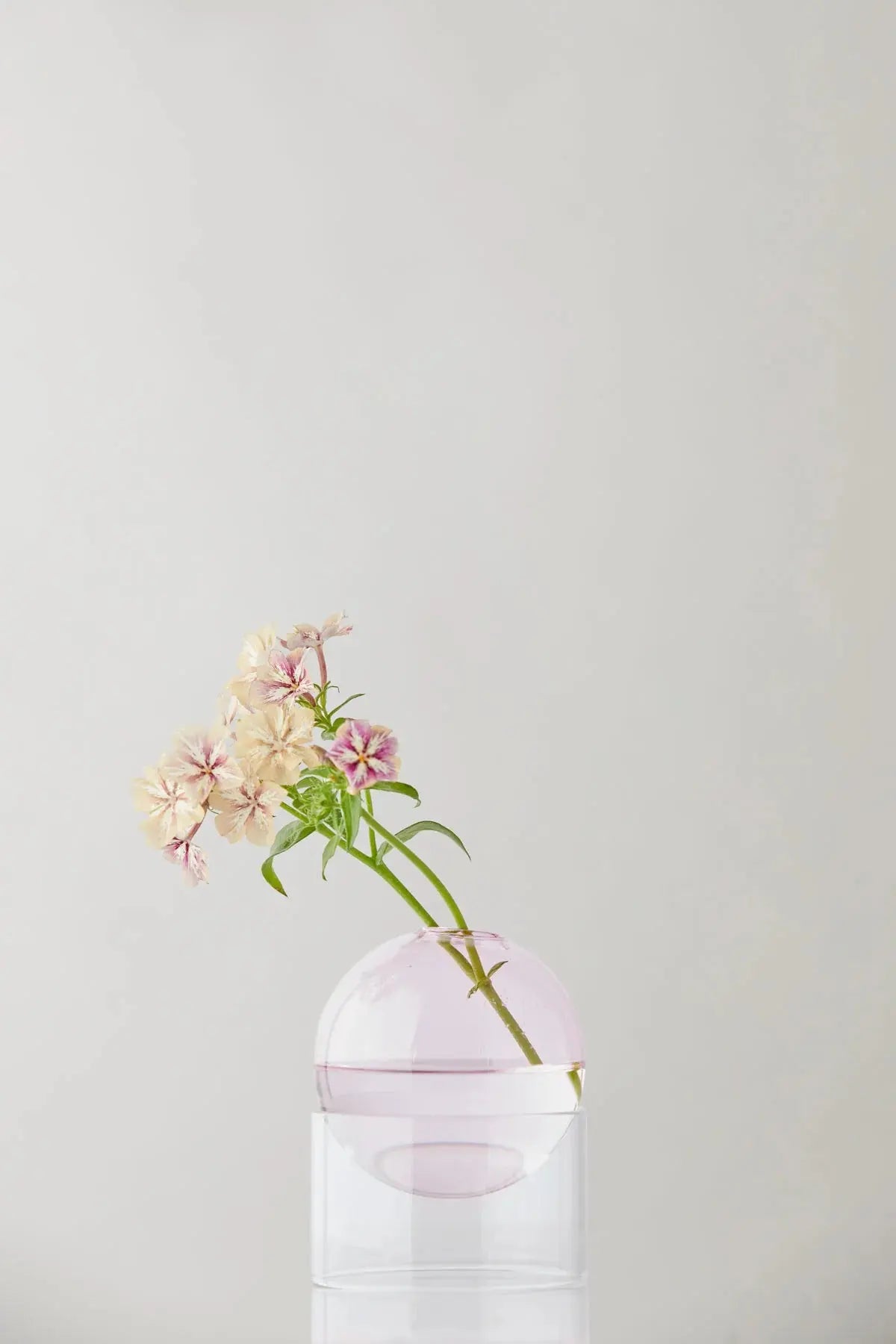 BULLE SUSPENDUE - SUTDIO ABOUT soemshop - STUDIO ABOUT